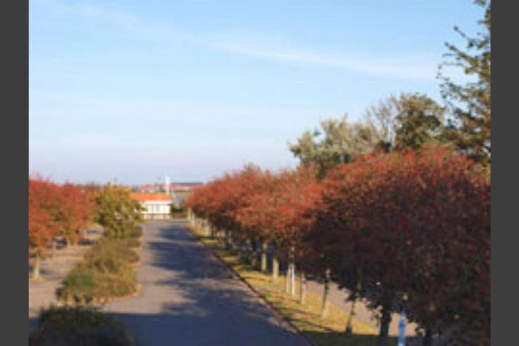 Hafenblick – Mit Balkon&strandkorb Am Südstrand Apartment Fehmarn